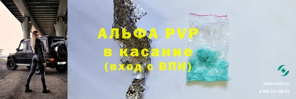 шишки Белокуриха