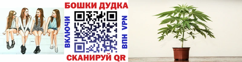 дарнет шоп blacksprut ссылки Бошки Шишки планчик Верея